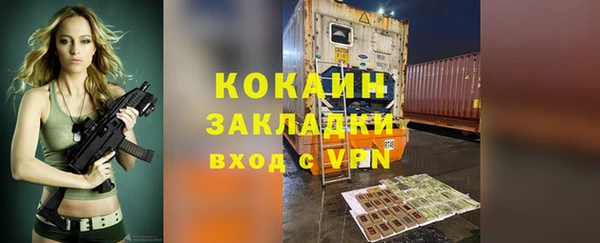 шишки Армянск