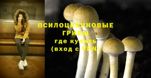 шишки Армянск