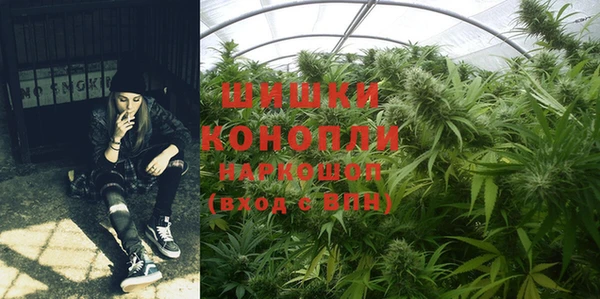 эйфоретик Арсеньев
