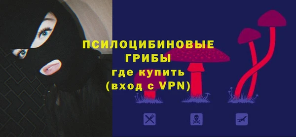 эйфоретик Арсеньев