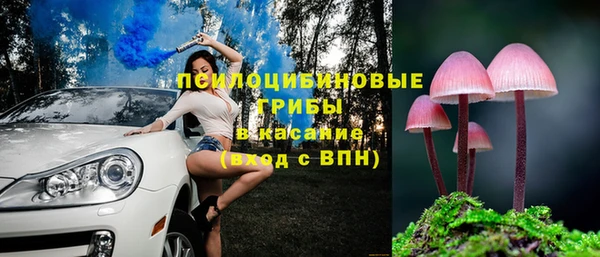 эйфоретик Арсеньев