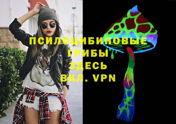 шишки Армянск
