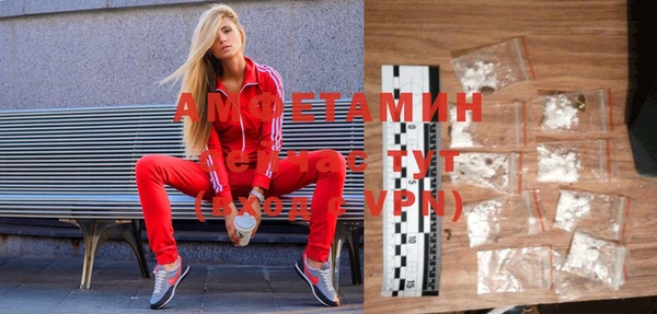 шишки Армянск