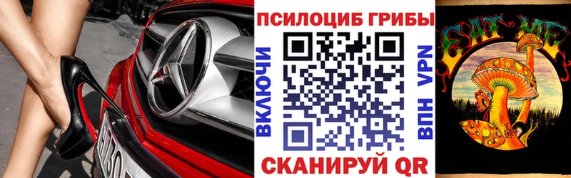 shop Telegram  как найти наркотики  Миньяр  Псилоцибиновые грибы мухоморы 